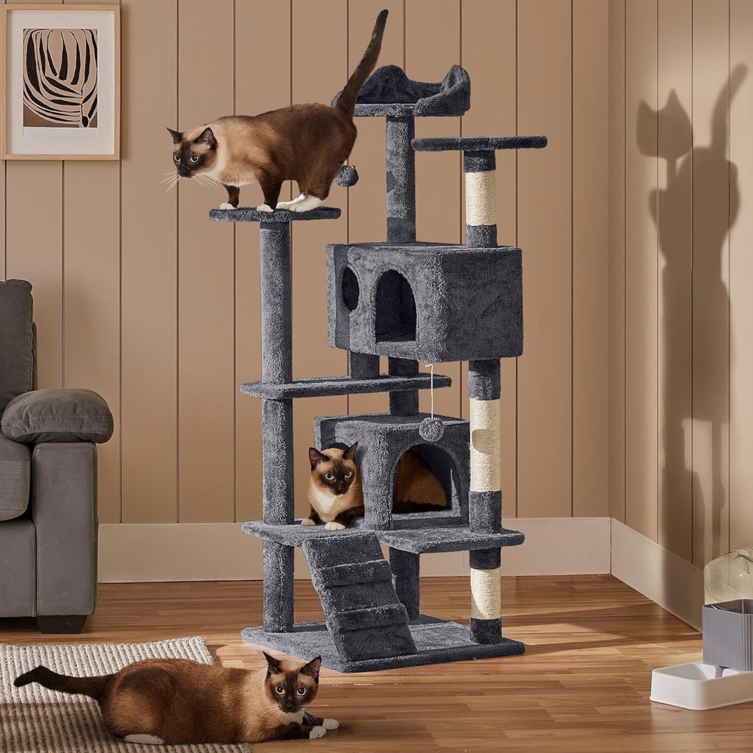 Γάτα 3 κιλών σκαρφαλώνει και παίζει με τα κρεμαστά παιχνίδια στο γατόδεντρο Wallex – σταθερότητα χωρίς κουνήματα